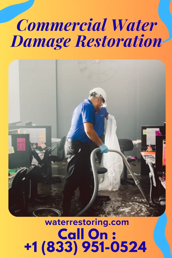 Commercial Water Damage Restoration in Neshanic, NJ