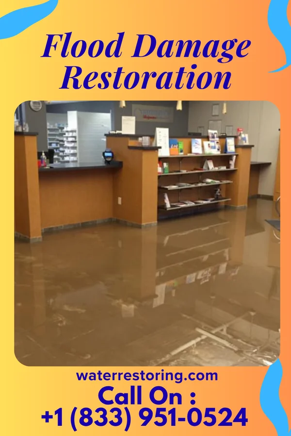 Flood Damage Restoration in Neshanic, NJ