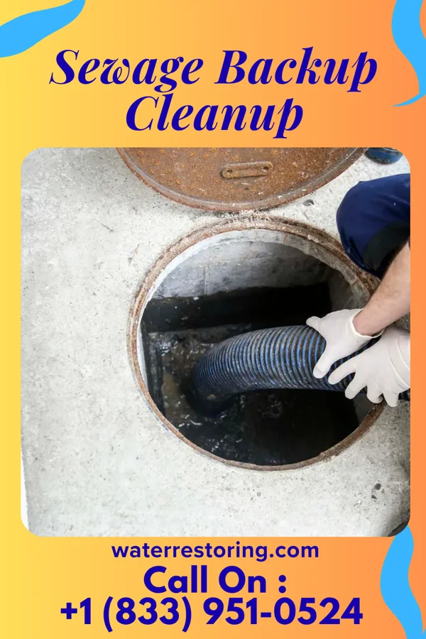 Sewage Backup Cleanup in Neshanic, NJ