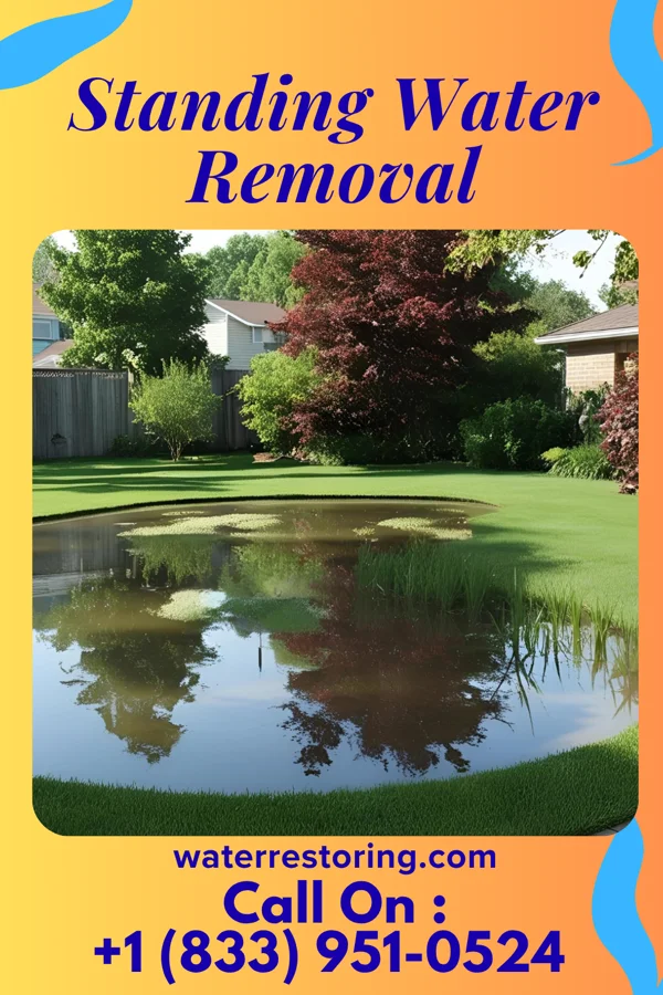Standing Water Removal in Neshanic, NJ